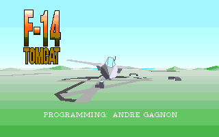 Splash screen from F-14 TOMCAT(4KB)