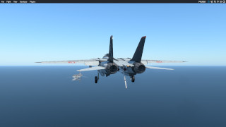 F-14D from X-Plane 12